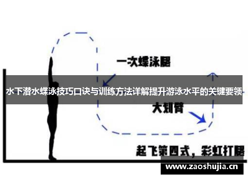 水下潜水蝶泳技巧口诀与训练方法详解提升游泳水平的关键要领