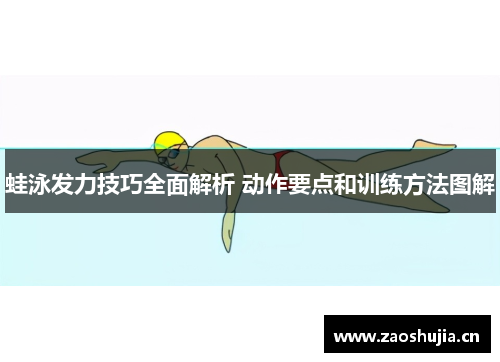 蛙泳发力技巧全面解析 动作要点和训练方法图解